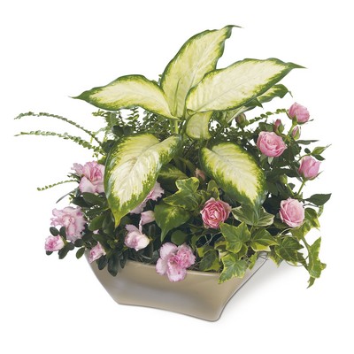 The FTD Garden of Grace(tm) Planter